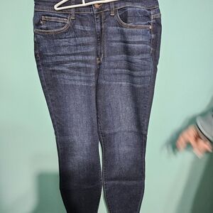 Judy Blue Dark Wash Skinny Jeans